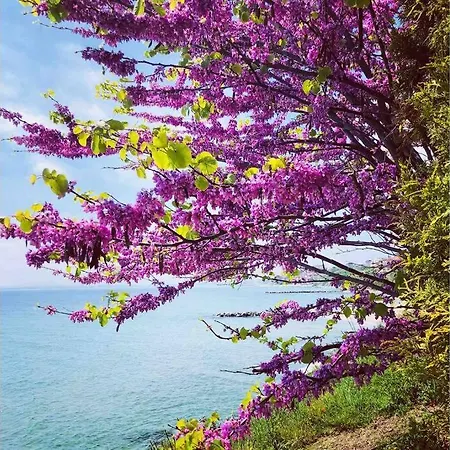 شقة изумительный вид на море/amazing Sea View